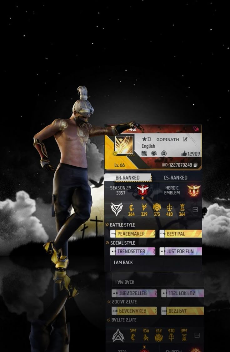 Player profile screenshot 2